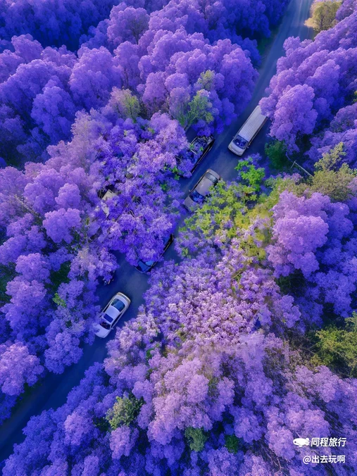 昆明植物园 - 昆明市旅游