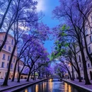 昆明植物园 - 昆明市旅游 缩略图 7