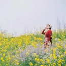 凤凰花海景区 - 重庆市旅游 缩略图 6