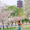 隋唐大运河国家文化公园 - 洛阳旅游 缩略图 1