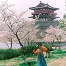 隋唐大运河国家文化公园 - 洛阳旅游 缩略图 5