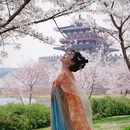 隋唐大运河国家文化公园 - 洛阳旅游 缩略图 3