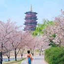 隋唐大运河国家文化公园 - 洛阳旅游 缩略图 2