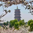 隋唐大运河国家文化公园 - 洛阳旅游 缩略图 7