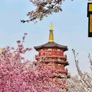 隋唐大运河国家文化公园 - 洛阳旅游 缩略图 8