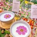 花僳僳·云南蒸汽石锅鱼 - 北京市旅游 缩略图 4