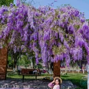 武汉纺织大学(阳光校区) - 武汉市旅游 缩略图 1