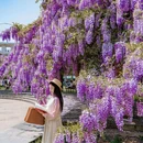 武汉纺织大学(阳光校区) - 武汉市旅游 缩略图 8