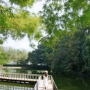 中山公园 - 佛山市旅游 缩略图 4