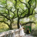中山公园 - 佛山市旅游 缩略图 6
