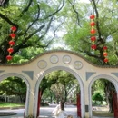 中山公园 - 佛山市旅游 缩略图 9