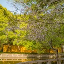西园寺-西门 - 苏州市旅游 缩略图 1