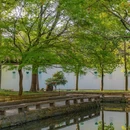 西园寺-西门 - 苏州市旅游 缩略图 2