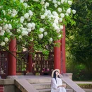 湖南烈士公园 - 长沙市旅游 缩略图 5