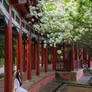 湖南烈士公园 - 长沙市旅游 缩略图 2