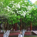 湖南烈士公园 - 长沙市旅游 缩略图 1