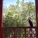 湖南烈士公园 - 长沙市旅游 缩略图 7