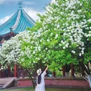 湖南烈士公园 - 长沙市旅游 缩略图 6