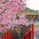 南粤苑 - 广州市旅游 缩略图 5