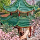 南粤苑 - 广州市旅游 缩略图 4
