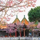 南粤苑 - 广州市旅游 缩略图 8