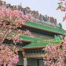 南粤苑 - 广州市旅游 缩略图 9