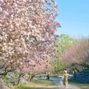 圆明园遗址公园 - 北京市旅游 缩略图 3