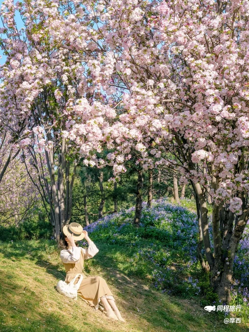 圆明园遗址公园 - 北京市旅游
