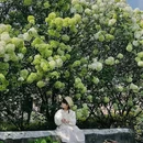海蒂和噜噜的花园 - 成都市旅游 缩略图 3