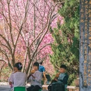 郑和公园 - 昆明市旅游 缩略图 4