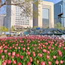 银河Soho商场 - 北京旅游 缩略图 5