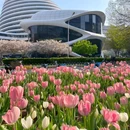 银河Soho商场 - 北京旅游 缩略图 1