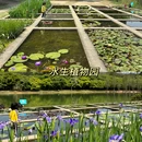 华南国家植物园 - 广州旅游 缩略图 4