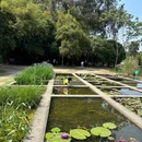 华南国家植物园 - 广州旅游 缩略图 5