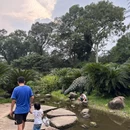 华南国家植物园 - 广州旅游 缩略图 9