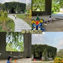 华南国家植物园 - 广州旅游 缩略图 6