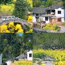 天柱山风景区 - 安庆市旅游 缩略图 3