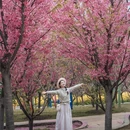 音乐·百花谷 - 成都市旅游 缩略图 1