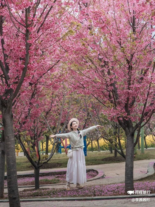 音乐·百花谷 - 成都市旅游