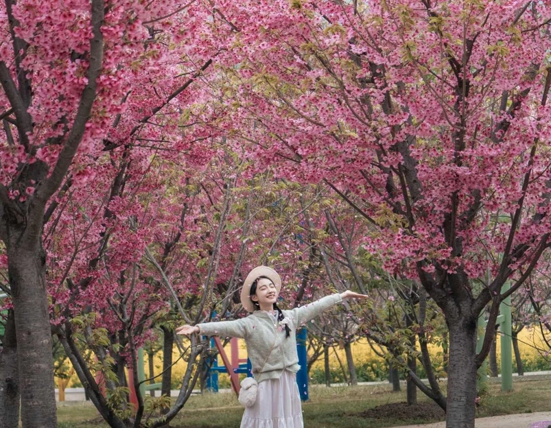音乐·百花谷 - 成都市旅游 1