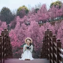 音乐·百花谷 - 成都市旅游 缩略图 3