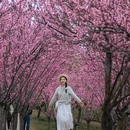 音乐·百花谷 - 成都市旅游 缩略图 5