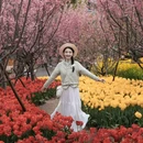 音乐·百花谷 - 成都市旅游 缩略图 9