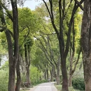 虎丘山风景名胜区 - 苏州市旅游 缩略图 7