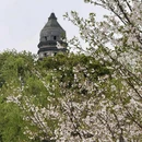 虎丘山风景名胜区 - 苏州市旅游 缩略图 8
