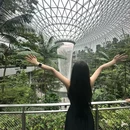 新加坡 - 其他旅游 缩略图 9