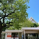 曼谷 - 泰国旅游 缩略图 3