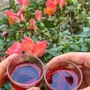滇选云味·云南民族餐厅 - 丽江市旅游 缩略图 7