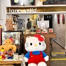 巷野餐厅 - 沈阳市旅游 缩略图 8
