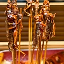 野人部落太原街(旗舰店) - 沈阳市旅游 缩略图 3